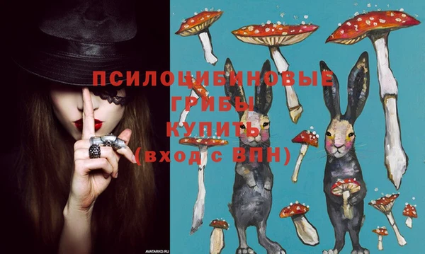 apvp Баксан