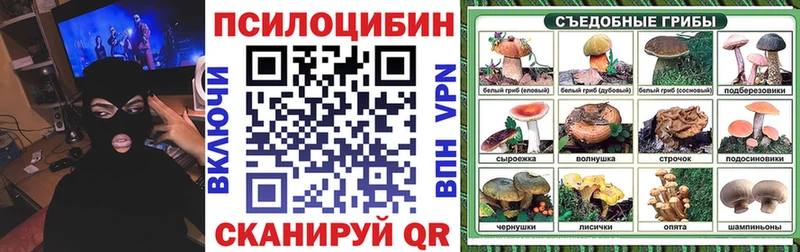 Псилоцибиновые грибы GOLDEN TEACHER купить цена Глазов